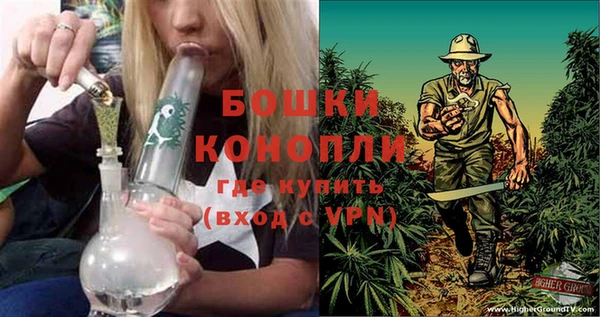 кокс Вяземский