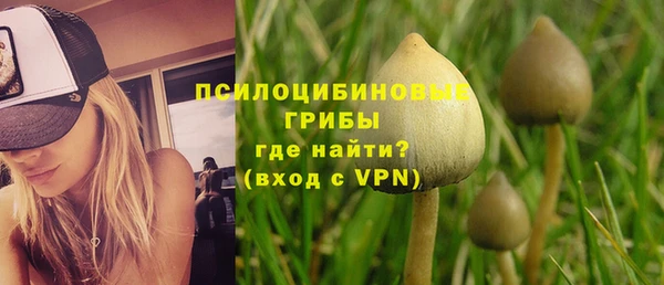 первитин Болотное